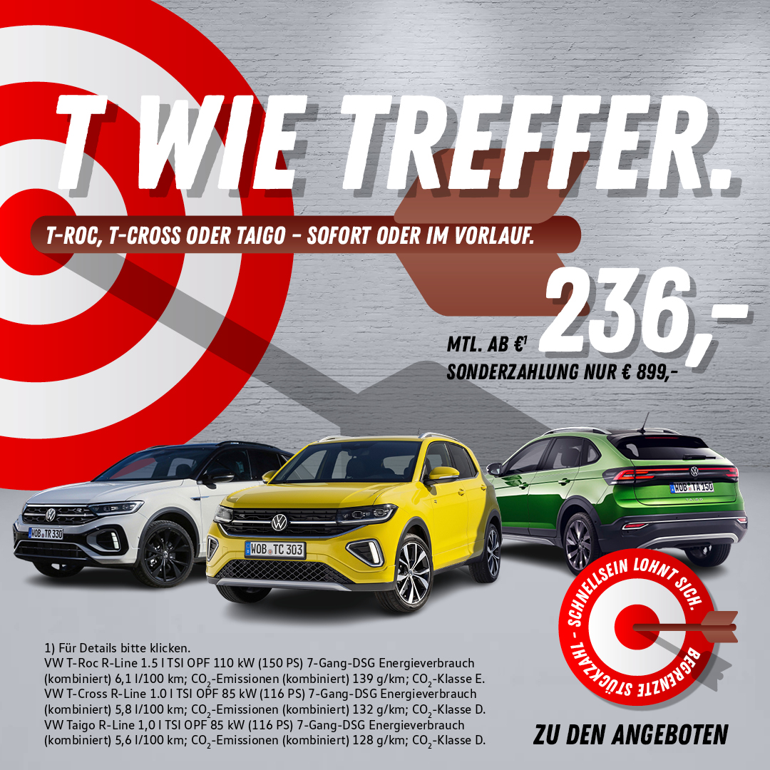 BEITRAG VW Ts Lager + Vorlauf